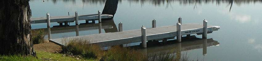 Docks on the foreshore